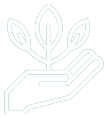 growth